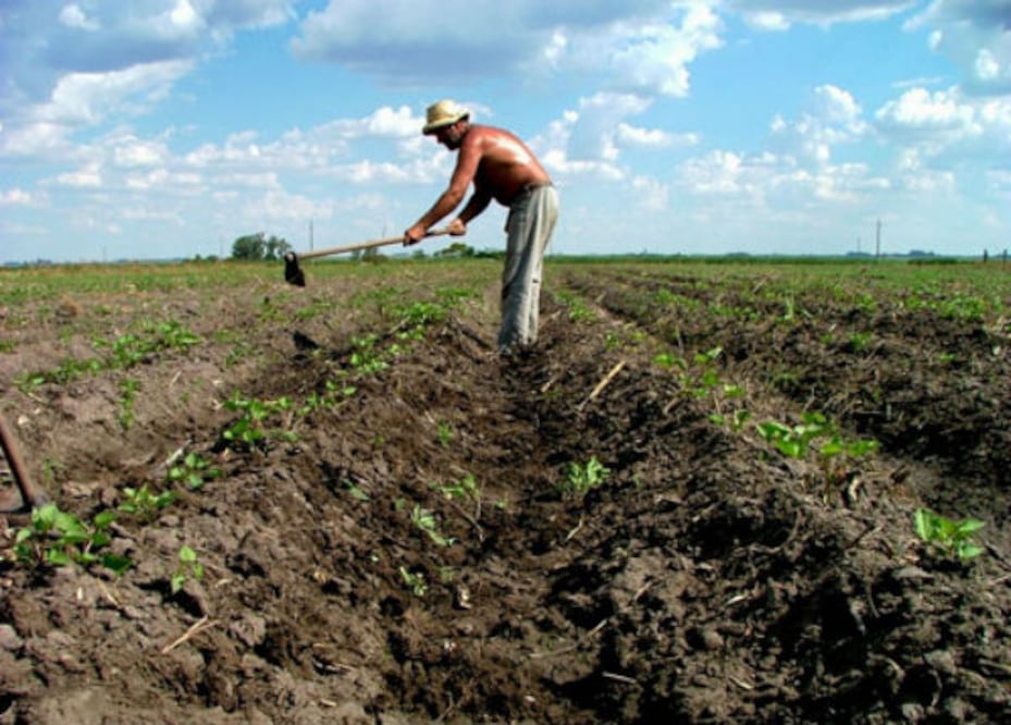 Piden equilibrar recurso al campo