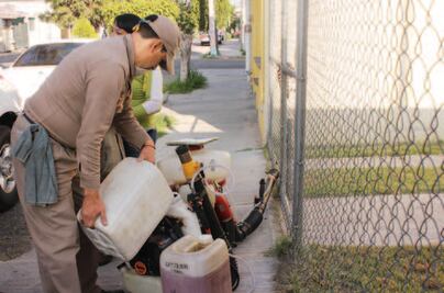 Ante lluvias, llama Salud a prevenir casos de dengue