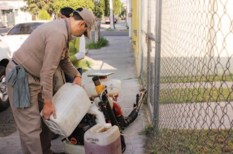 Ante lluvias, llama Salud a prevenir casos de dengue
