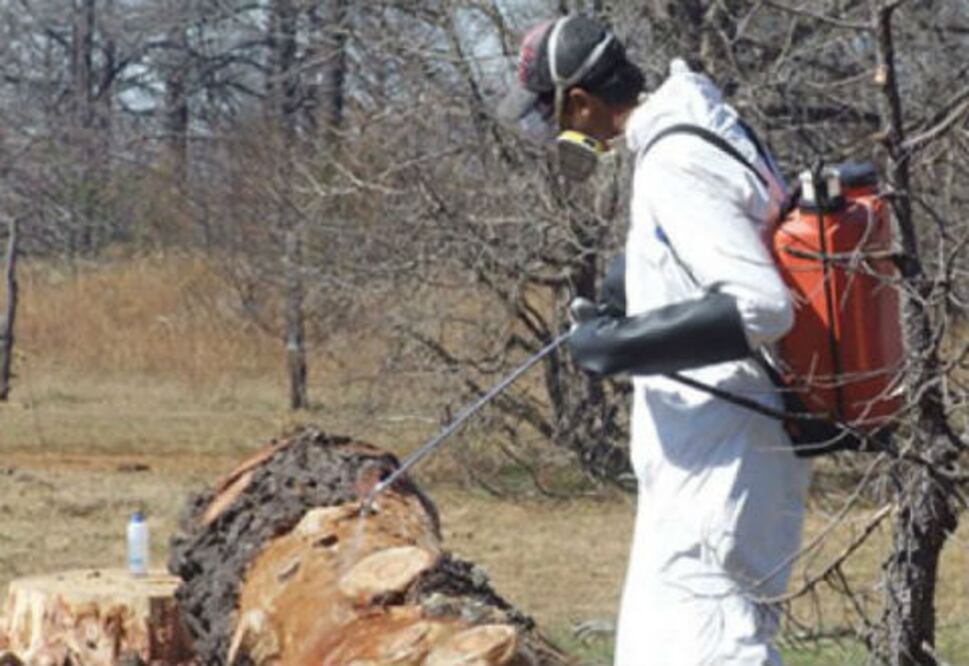 NOM para plagas es arcaica, señalan