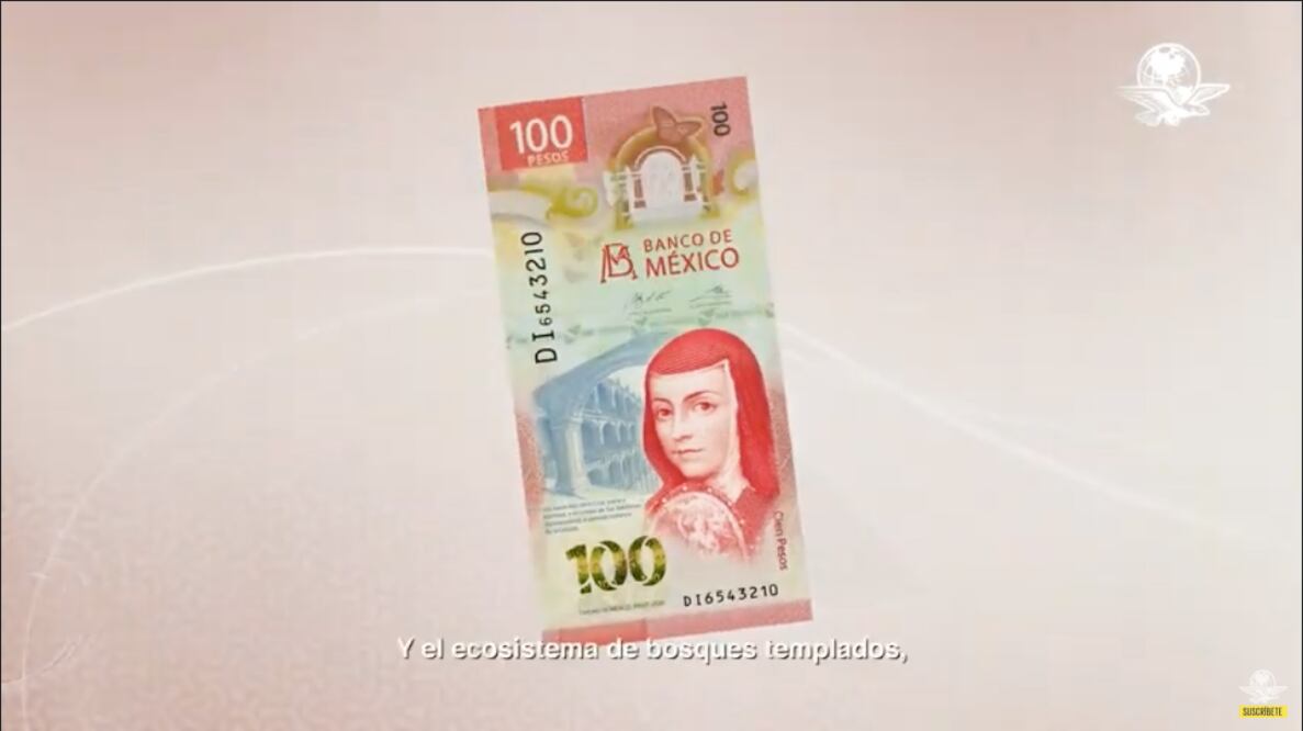 Conoce el nuevo billete de 100 pesos de Sor Juana