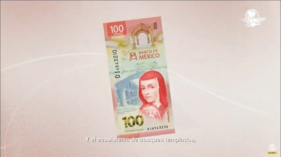 Conoce el nuevo billete de 100 pesos de Sor Juana