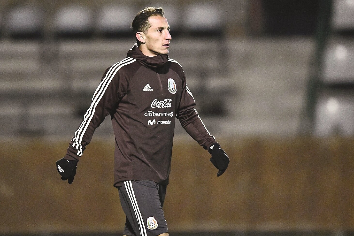 Principito sueña ser campeón en Rusia