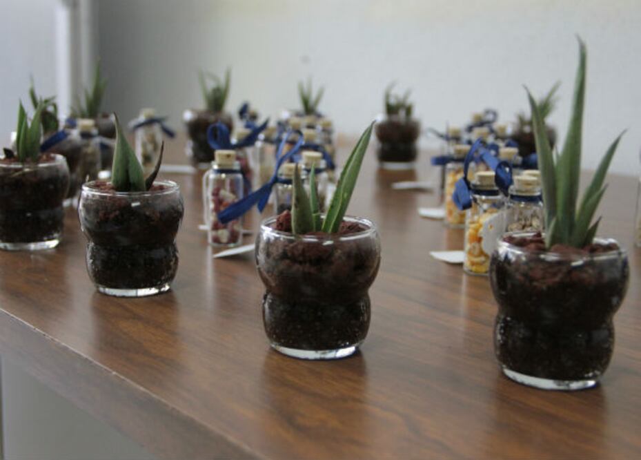 UAQ protege biodiversidad