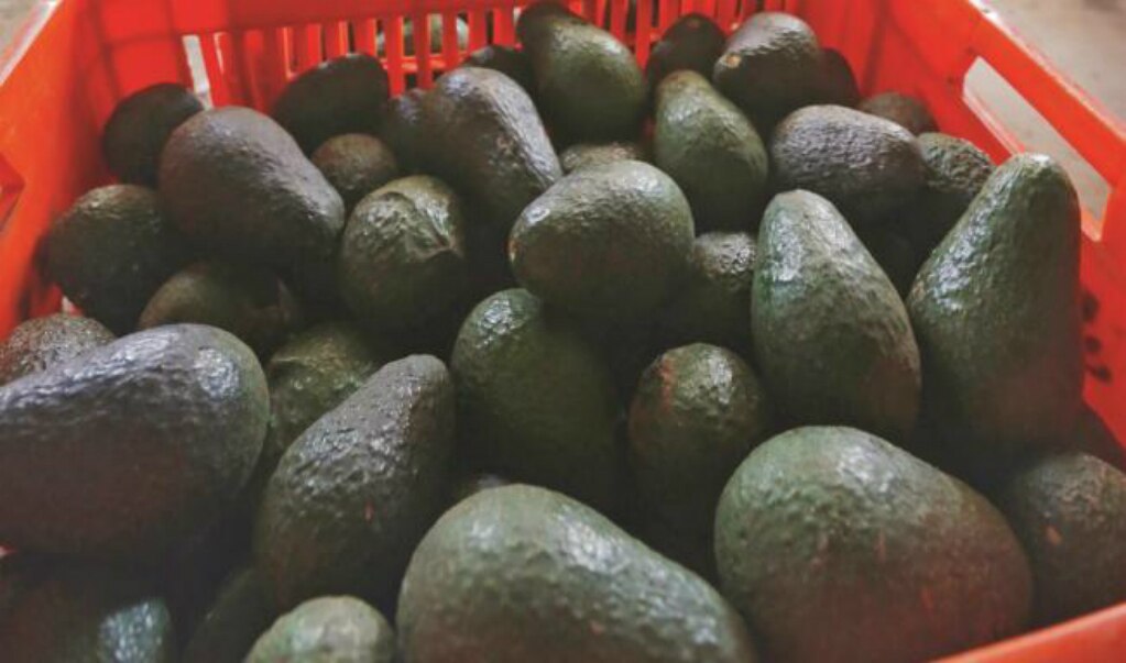 FOTO: Archivo El Universal