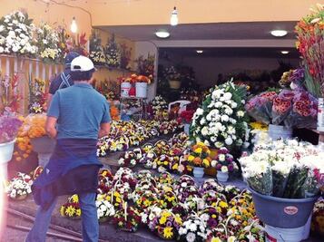 Floricultores abusan con  el costo