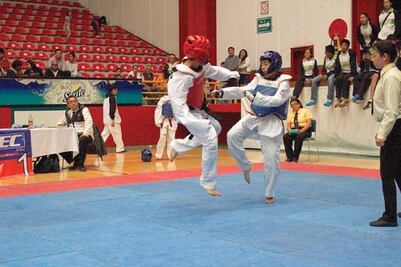 Participación récord de taekwondo