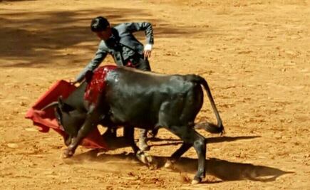 Pequeños toreros entrarán en acción