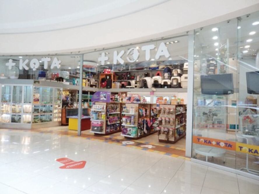 +Kota planea abrir 65 tiendas