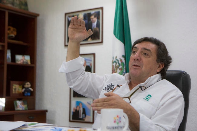 CEA se deslinda de afectación a zona forestal
