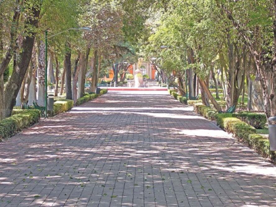 Reforestarán la Alameda