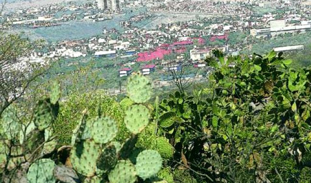 Clausura Profepa obras en predio forestal