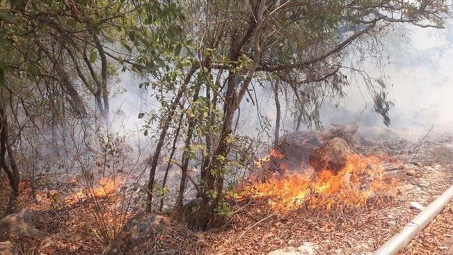 Incendio en Jalpan consume 750 hectáreas