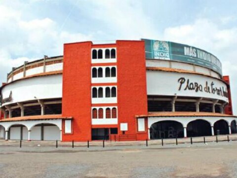 Llegan toros a la Santa María