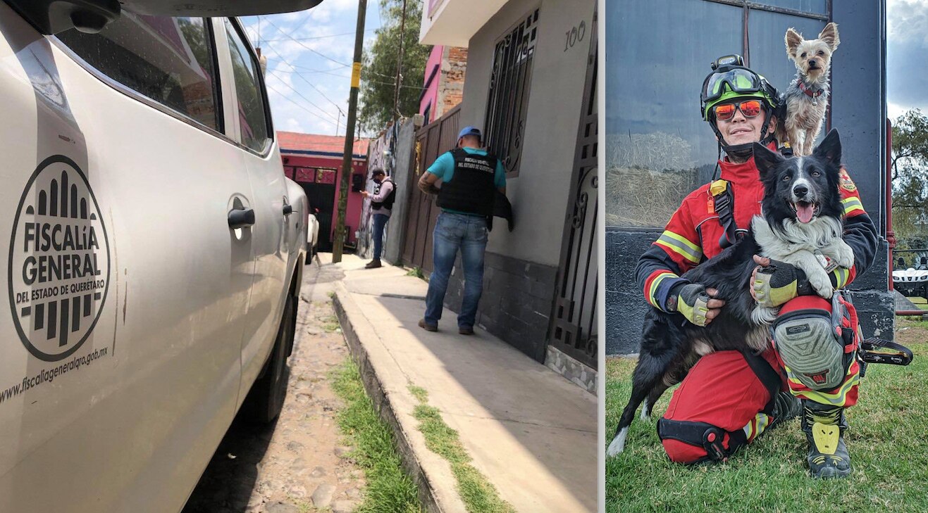 Detienen al probable responsable de privar de la vida a  Athos y Tango