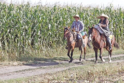 Exhortan a no votar a cambio de apoyos