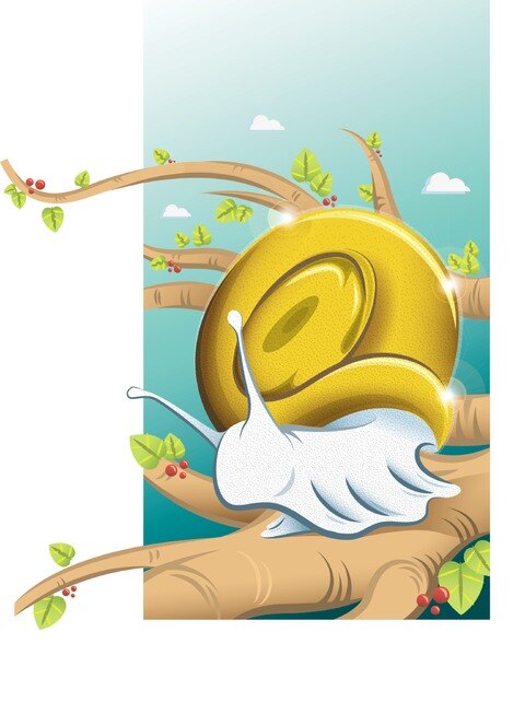 Internet lento y caro en el país