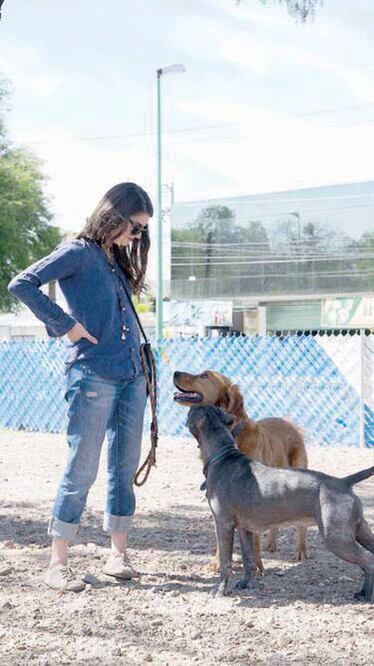 Parquepara perros, espacio de convivencia 