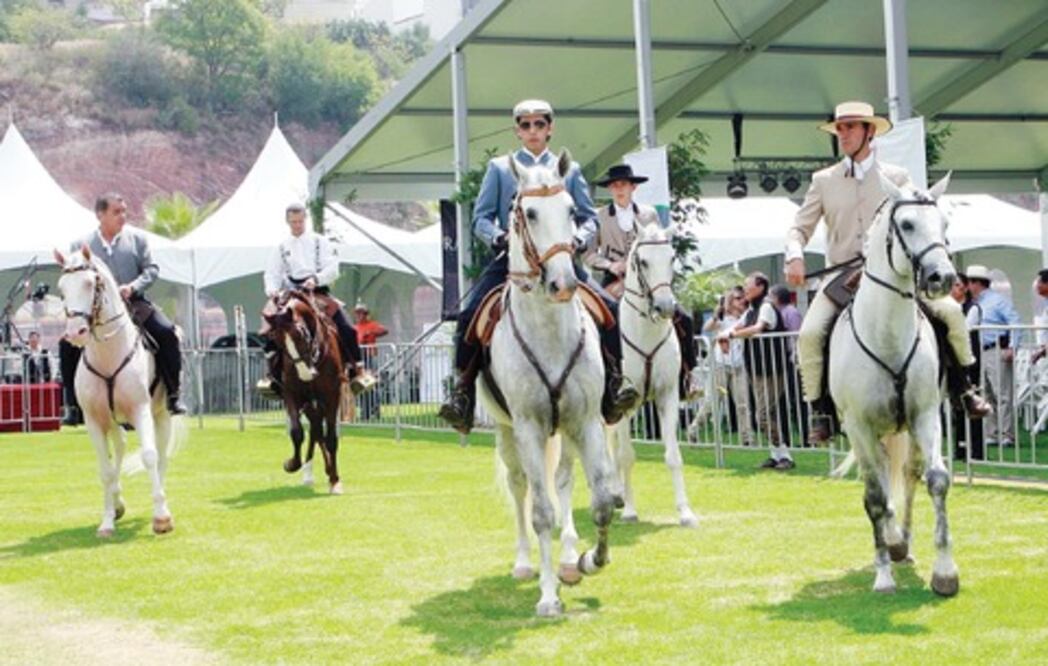 Festival Internacional del Caballo Lusitano