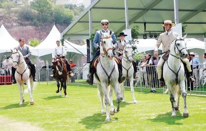 Festival Internacional del Caballo Lusitano