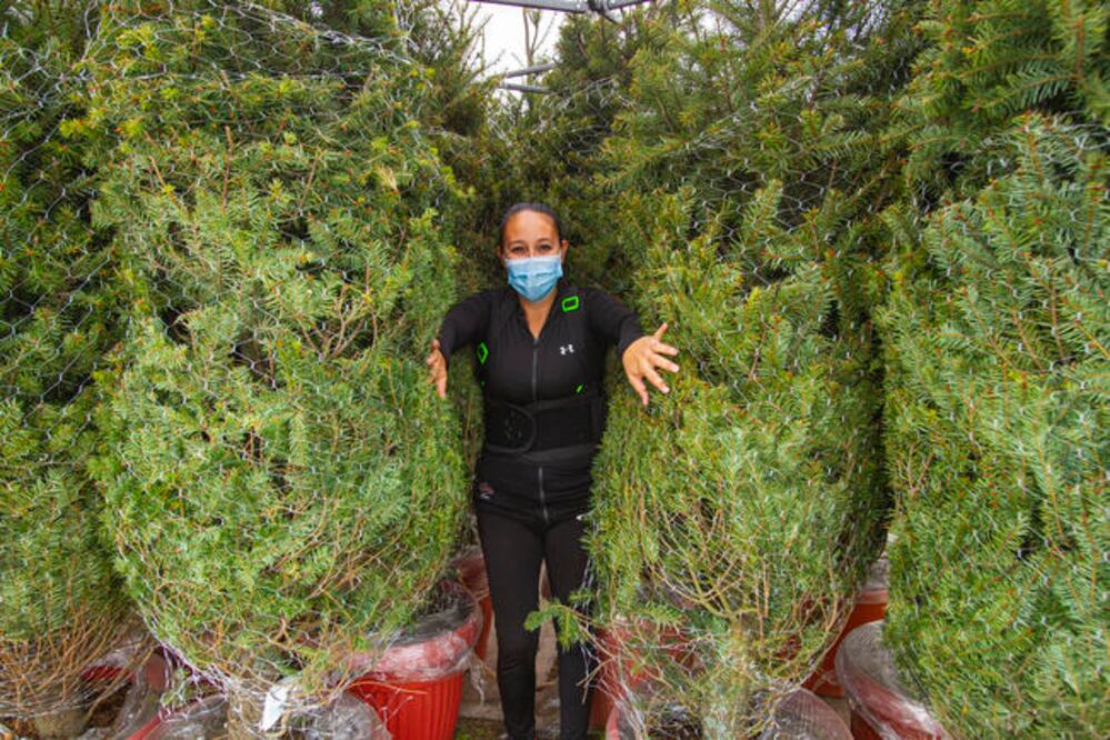 Foto: Demian Chávez