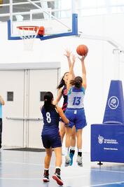 Borregas Salvajes afianzan ‘playoffs’