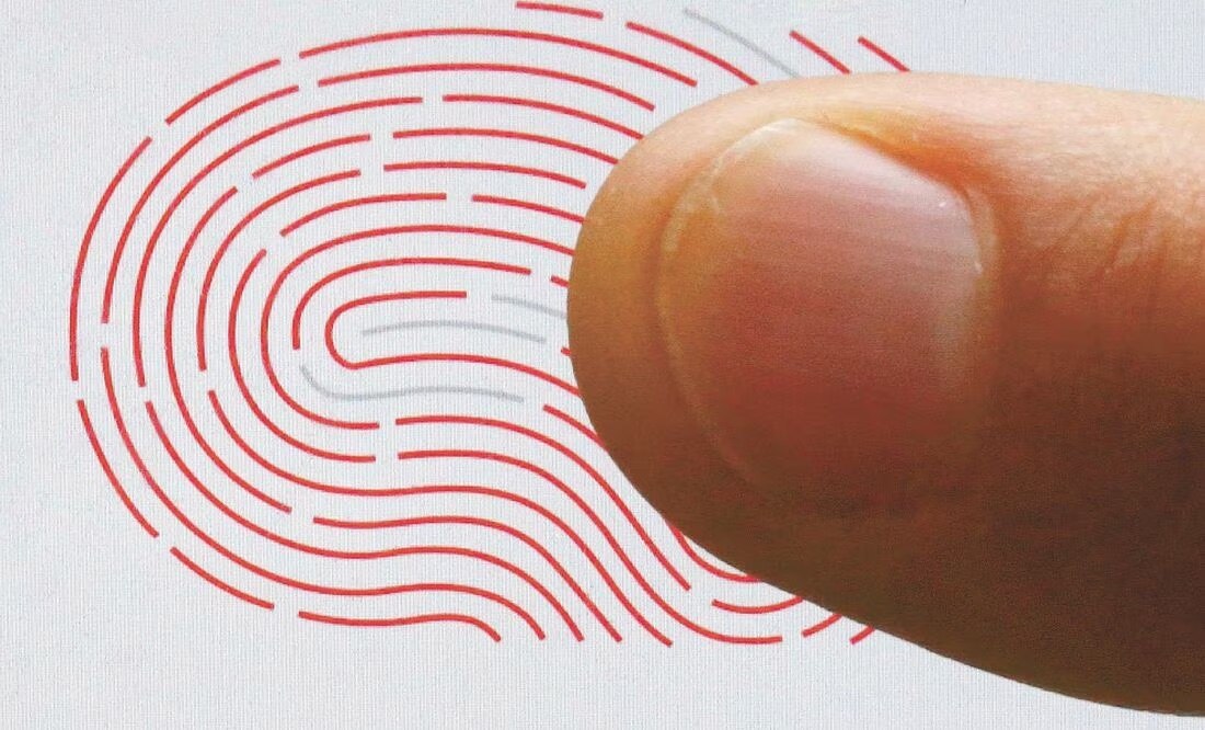 CURP con foto, así podría ser el nuevo documento de identificación. Foto/ARCHIVO EL UNIVERSAL