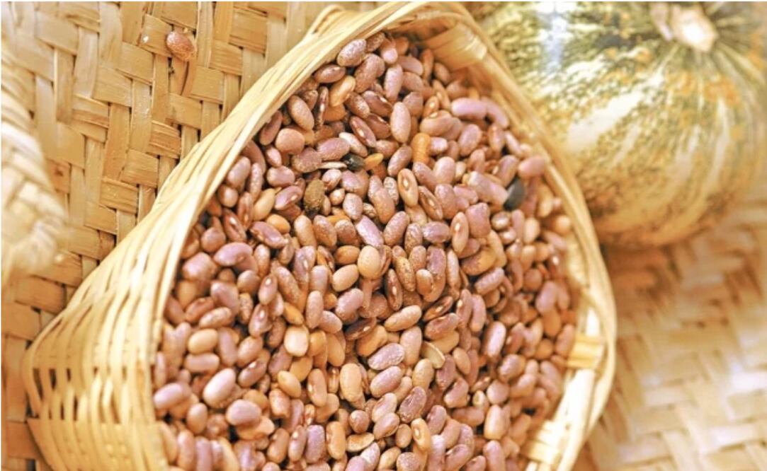 Consumir frijoles con regularidad ayuda a controlar enfermedades cardiovasculares \ Foto: Pixabay