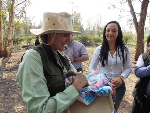 Rehabilitan en el Parque El Cimatario a fauna rescatada