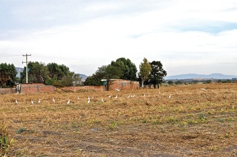 Planean regular dos mil predios