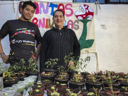 #NuestrasHistorias: Difunden aprendizaje en la venta de plantas carnívoras