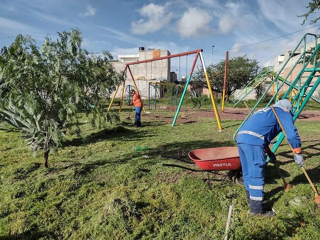 Capital se ahorra 30% de recursos al no licitar trabajo de parques: edil