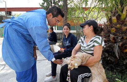 Aplica sector salud vacunas para prevenir la rabia  