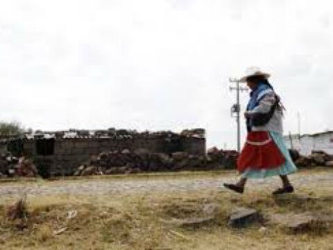 Fomentan suficiencia alimentaria