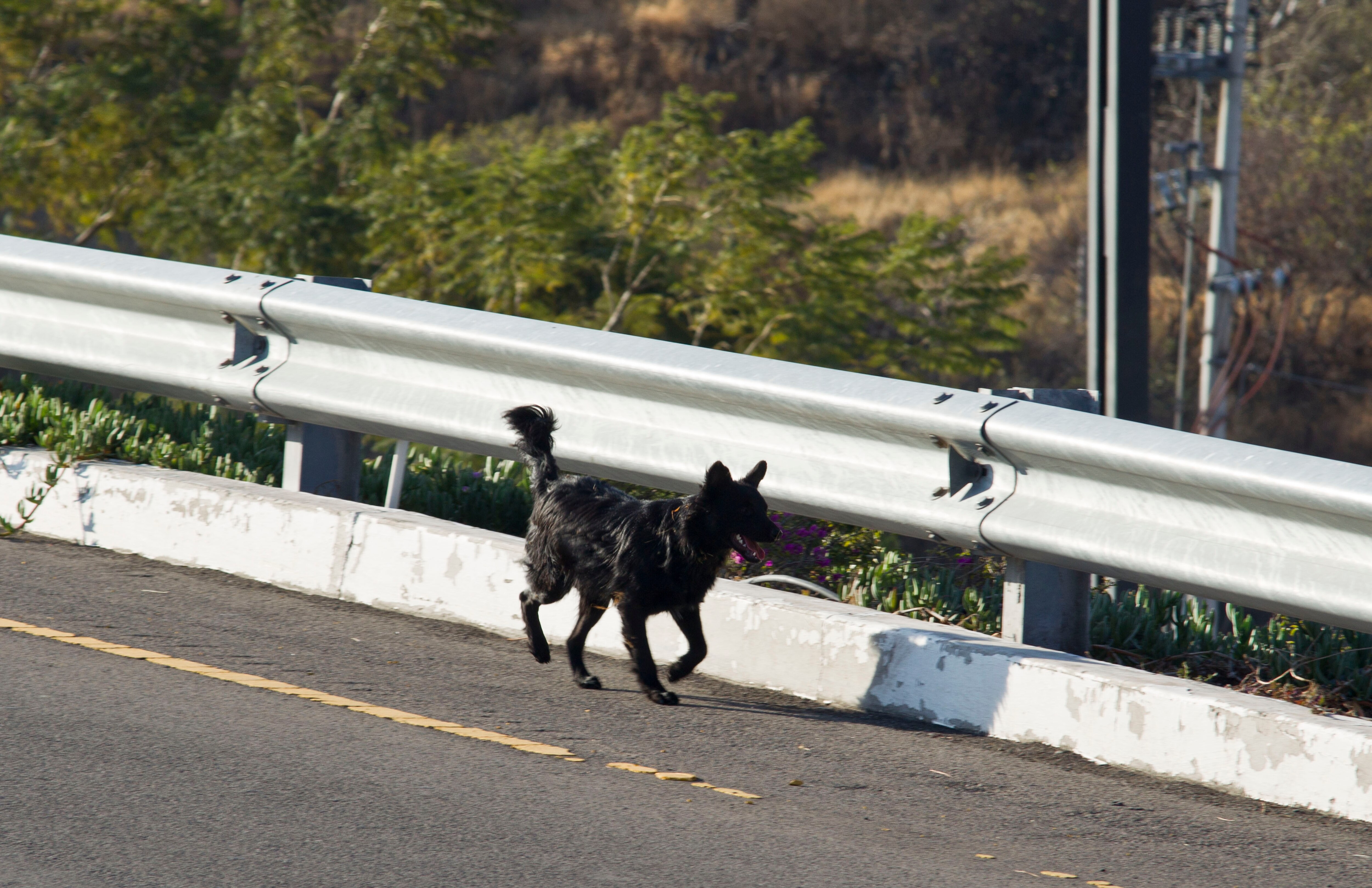 Foto: Demian Chávez