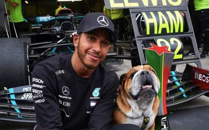 Tras volver a su perro vegano, Lewis Hamilton fue denunciado y podría ir a la cárcel