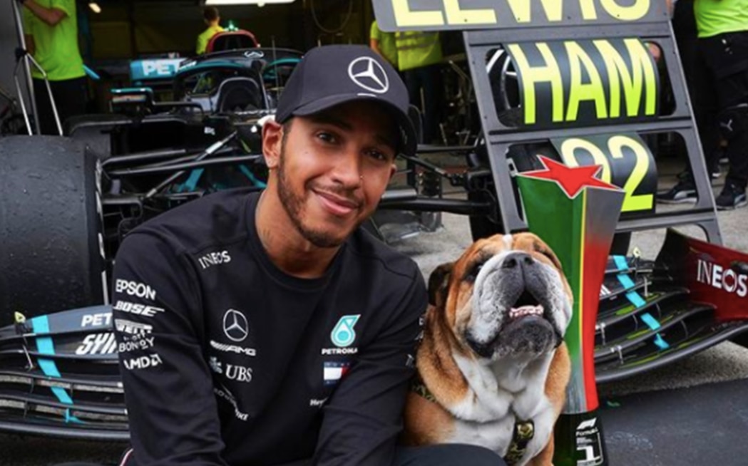 Tras volver a su perro vegano, Lewis Hamilton fue denunciado y podría ir a la cárcel