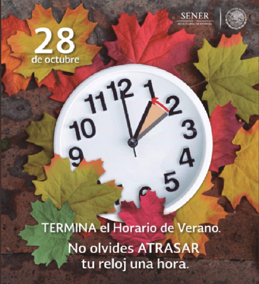 Mañana termina el Horario de Verano, no olvides cambiar el reloj antes de dormir