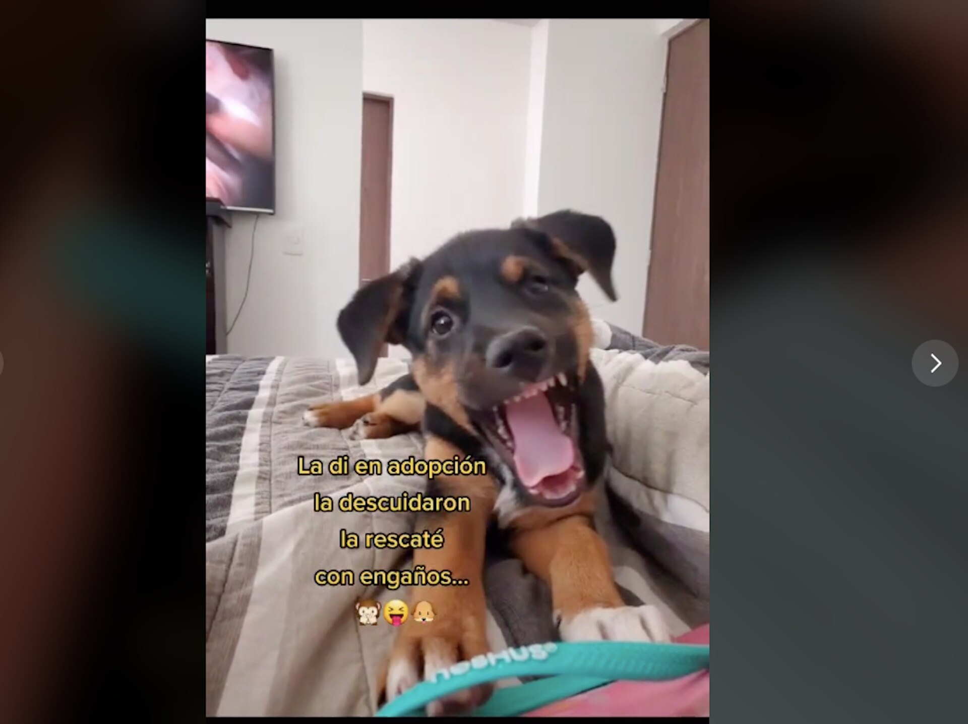 "La di en adopción, la descuidaron y la rescaté con engaños"