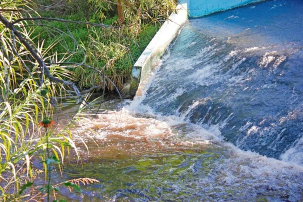 Culpa Greenpeace a textilera de polución