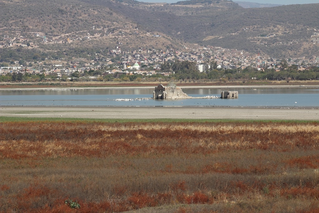 Por sequía, presa del Palote está a punto de desaparecer en Guanajuato 