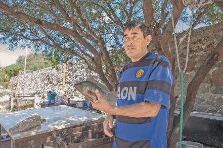 Pescadores "hacen su agosto" en plena temporada de lluvias, en Querétaro