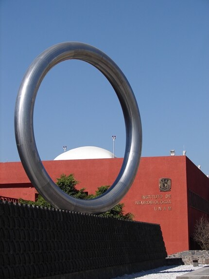 Realizará UNAM coloquio de neuroética