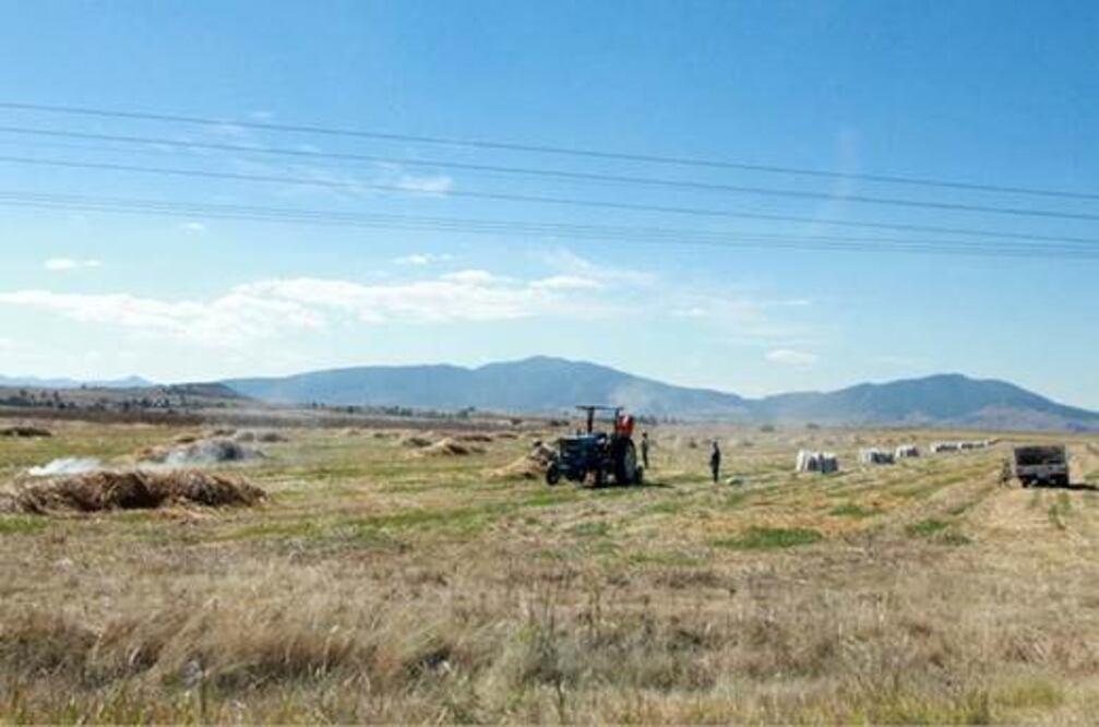 Pega clima extremo a campo de la capital