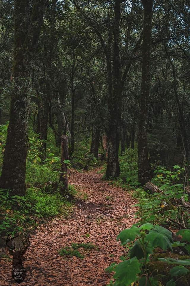 Pinal del Zamorano. Foto: FB, Daniela Angeles