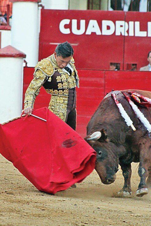 Una intensa actividad tendrá  “Zotoluco”