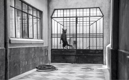 "Borras", el personaje más despreocupado de "Roma" tiene su cumbia