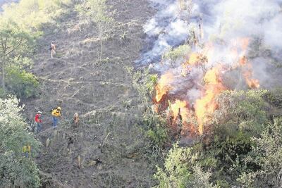 Disminuyen incendios en lotes baldíos