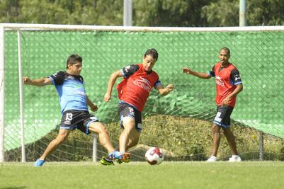 Gallos frente a Chivas