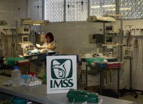 Nacen Trillizas en el IMSS